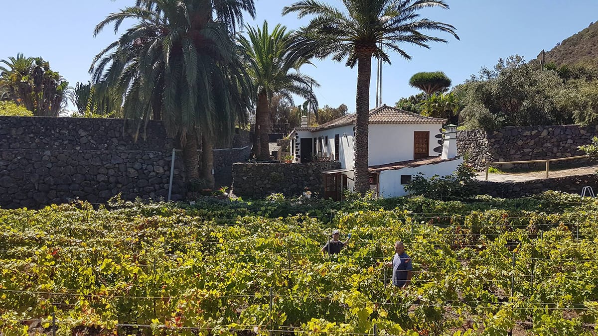 Cata de Vinos Viña Etna. Maridada con música de Anibal Liricida y Dany Ruz