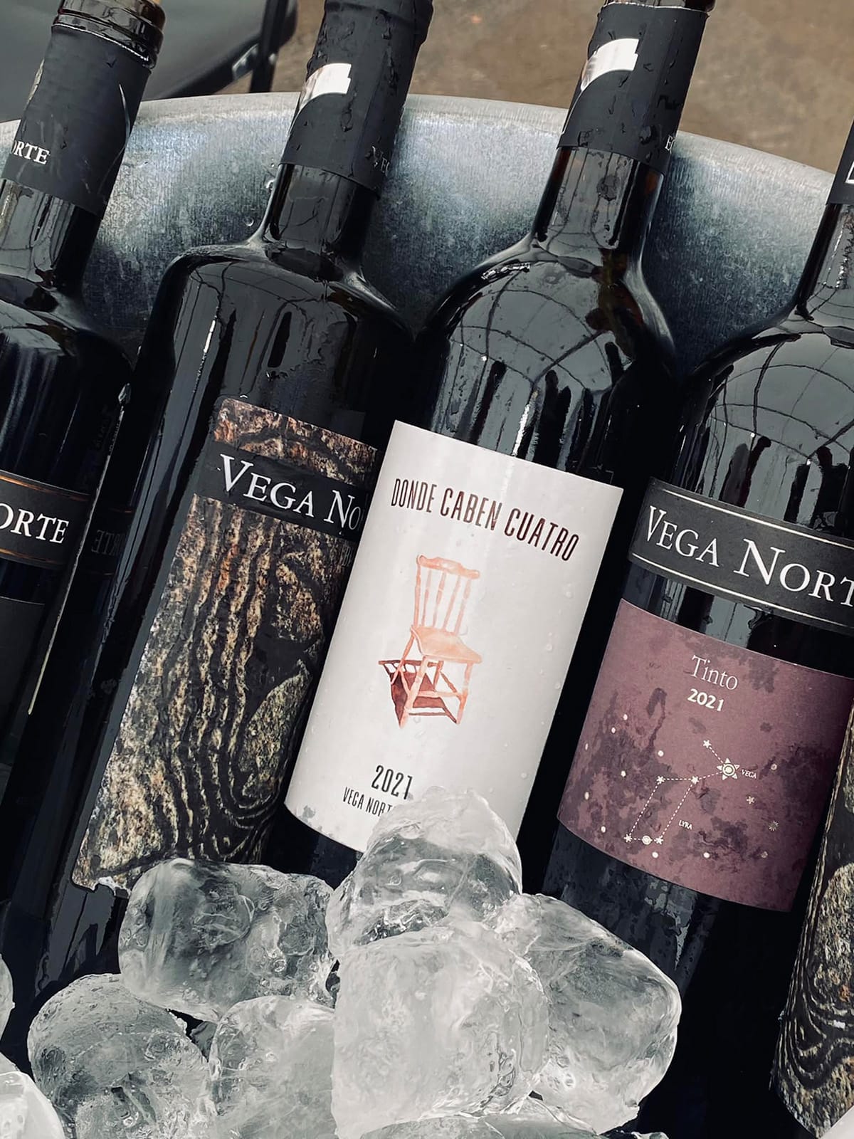 Cata de Vinos Vega Norte. Maridada con música de Anibal Liricida y Dany Ruz